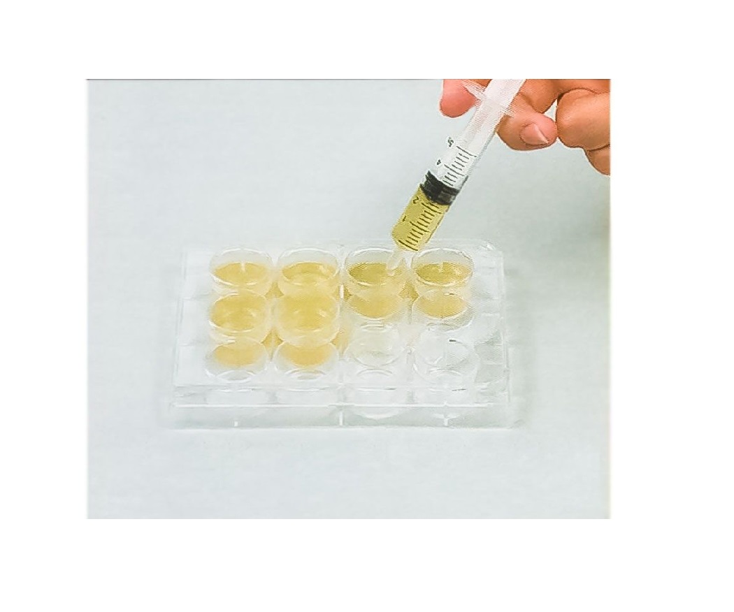 کیت آموزشی تنگ ژین مدل کشت باکتری - تصویر 3